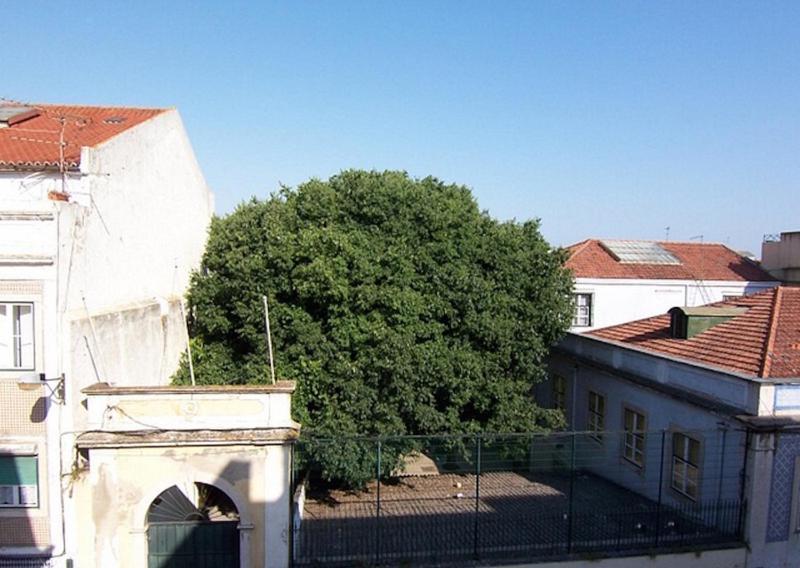 Bela Vista - Lissabon Altstadt Esterno foto
